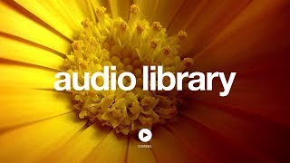 Barton Springs – Bird Creek (No Copyright Music)