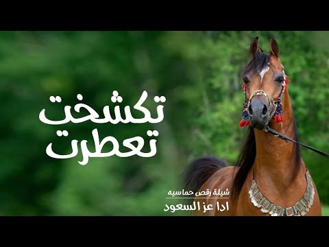 شيلة مدح حماسيه تكشخت تعطرت ادا عز السعود حماسيه 
