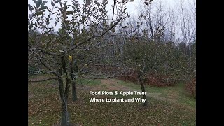 Food Plots and apple trees. Plant them together. screenshot 2