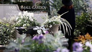 Creating a Beautiful Winter Garden by Matching Colors and Rearranging Flowers by SARA  - ガーデニングと暮らしのVLOG　 92,967 views 5 months ago 14 minutes, 3 seconds