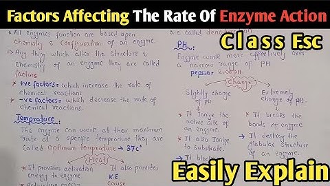 Factors affecting the rate of Enzyme Action | Temperature | PH | Class 11 Biology (Urdu/Hindi)