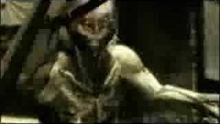 Metal Gear Solid 4 - Raiden´s Returns!!