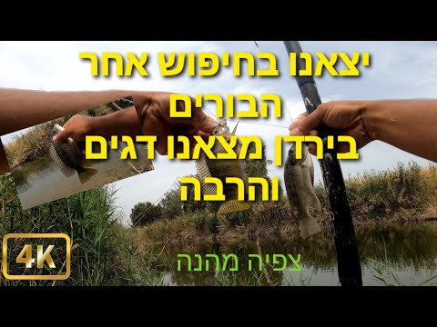 וִידֵאוֹ: בחיפוש אחר מצוינות