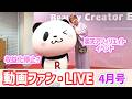 動画ファン4月のライブ配信