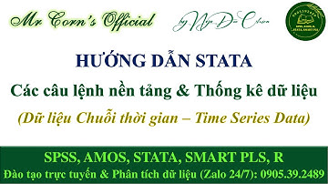 HƯỚNG DẪN STATA | Các câu lệnh nền tảng & Thống kê dữ liệu (Dữ liệu Chuỗi thời gian) 29112025