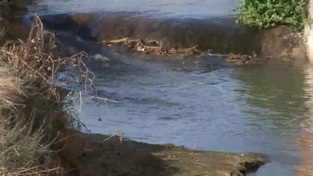 Lleida recupera la qualitat de les aigües del riu Noguerola