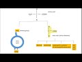 Deamination: Transamination and Oxidative deamination.