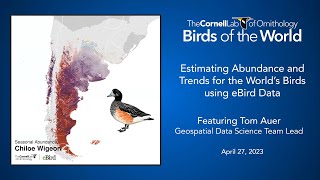 BOW Webinar: Estimating Abundance and Trends for the World’s Birds using eBird data with Tom Auer