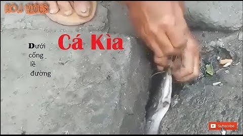 Câu cá dưới cống lề đường - Bạn có tin không ( Full HD )