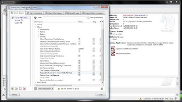 TeamSpeak 3 Temporary Password Bugs