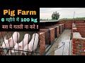 Pig farming in india,🐖सूअर पालन🐖,How to make pig farm