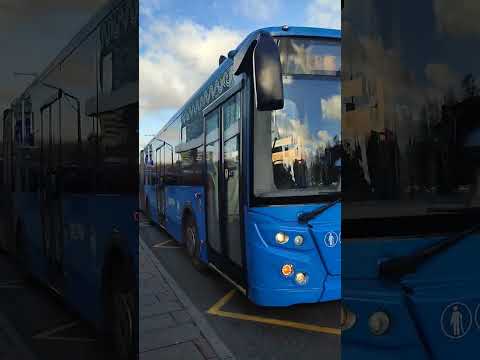 Суета у Щучки) #щукинская #автобус #гармршка #автобусы #суета #лиаз #москва #мосгортранс