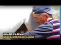 Акылбек: аялым бошобогондо бээ саайм