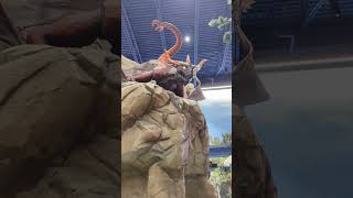 Charlock the MagiQuest Dragon