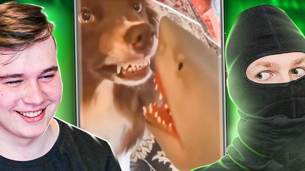 РЕАКЦИЯ БЕЗ МАТА СО СЛЕДОВАТЕЛЕМ