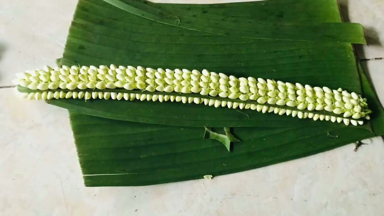 Tutorial Ronce Melati | Jedung Lar Daun |