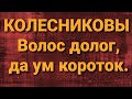 Семья Колесниковых/Новости из Дворца.