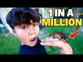 The rarest reptile collection in the world