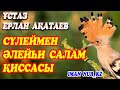 Сүлеймен əлейһи салам қиссасы. Ұстаз Ерлан Ақатаев