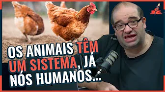 imagem do youtube