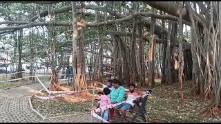 400 YEARS BIG BANYAN TREE ||BANGLORE