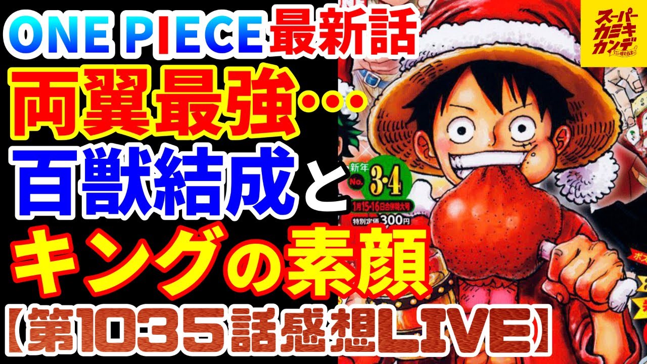 ワンピース最新話 キングがカッコよすぎる 百獣海賊団no 2に潜む謎が多すぎる 第1035話感想live Youtube