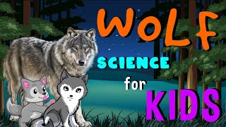 Wolf | Science for Kids