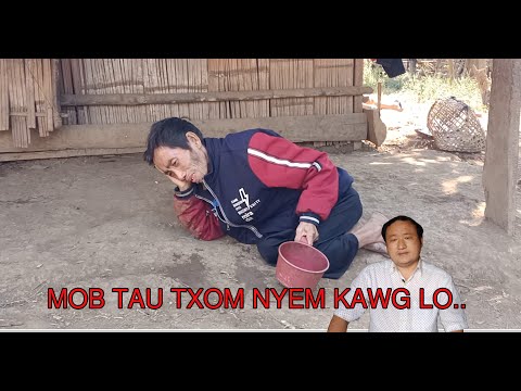 Video: Leej twg yog tus Thawj Fwm Tsav Tebchaws Georgia tam sim no?