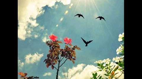 سورة النساء للشيخ فضل حسن عباس