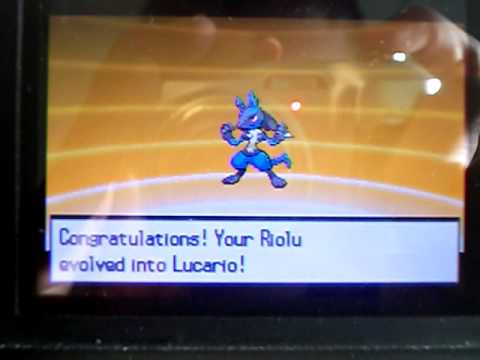 how to evolve a lvl 100 pokemon how to evolve a lvl 100 pokemon