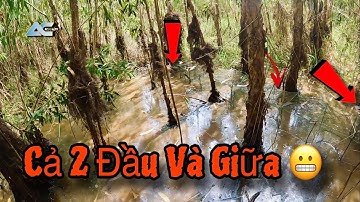 Thăm Lú Gặp Nước Cạn Này Phải Hét Lên Vì Bất Ngờ When you visit the fish traps, you