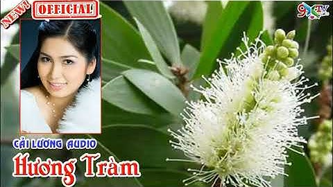 Hương Tràm🔴Cải Lương Xã Hội Hay Mê Mẩn🔊Hồ Ngọc Trinh , Dương Tuấn , Hạ Vân💋