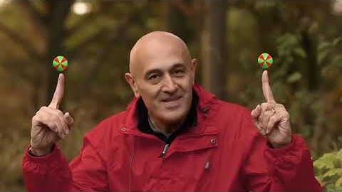 Do Birds Navigate Using Quantum Physics    The Secrets Of Quantum Physics   Spark480P