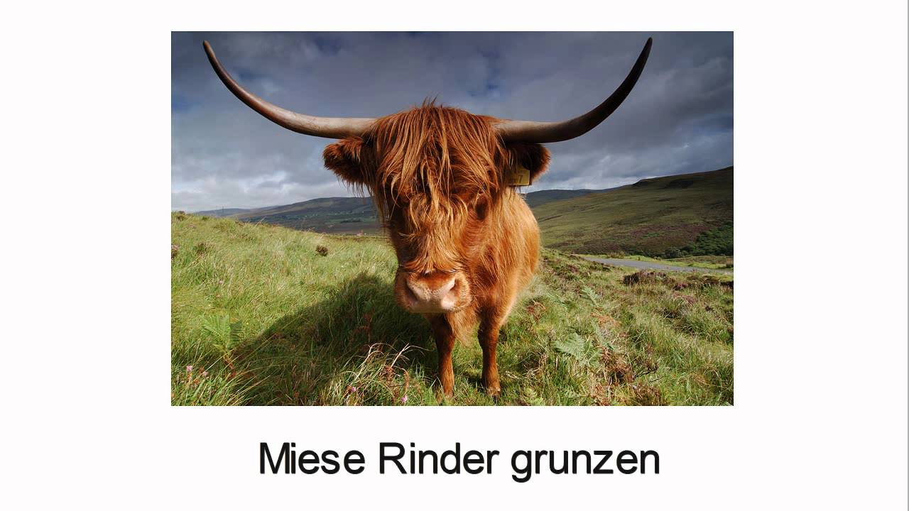 Imposter übersetzung Imposter übersetzung