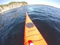 Whale Under Stan S Kayak Whale Under Stan S Kayak