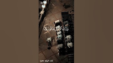 آيات من سورة النور بصوت أنس المالك