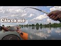 Lần đầu trãi nghiệm bộ môn câu cá mè, một cái hồ dịch vụ câu cảm giác toàn cá khủng ở Cần Thơ