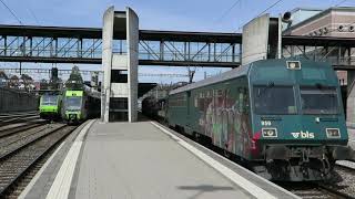 Special BLS Train