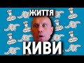 Хто такий Ілля КИВА? Аваков. Медведчук. Дисертація