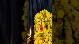 பாலக்காட்டு மாரியம்மன் திருக்கோயில்கந்தசஷ்டி விழா