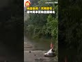 桃園復興「天降巨石」　砸中民車驚險畫面曝光｜#全民話燒