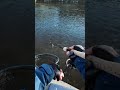 Japan Fishing ASMR - Trout Fight#159🎣