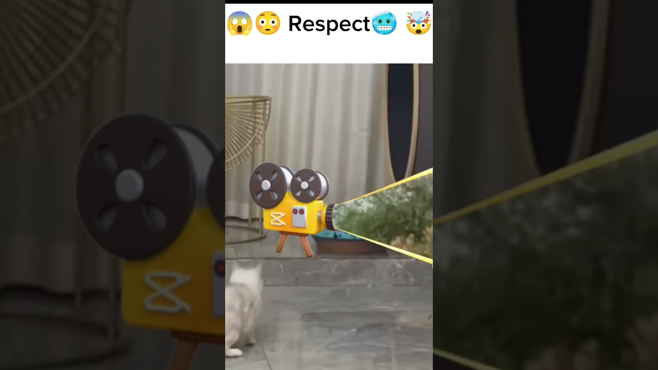 Respect 💯😱 #shorts #respect #respectshorts (@Respectplace-1M  )
