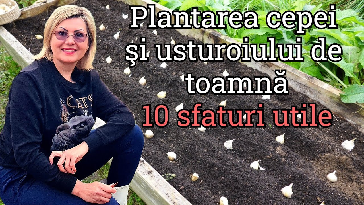 Cum se plantează ceapa și usturoiul de toamnă- 10 sfaturi utile🧄🧅