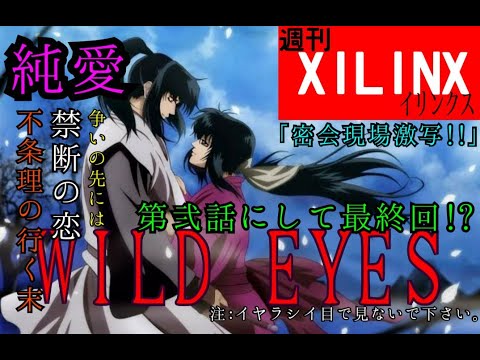 バジリスク Wild Eyes 水樹奈々 Cover 歌詞あり Xilinx Youtube