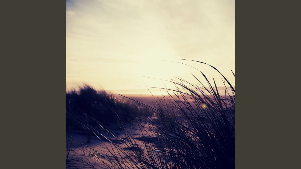 Spectacular Backdrops for Dinner Parties