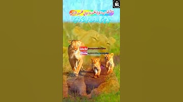 هیچ چیز در جهان از علم خدا پنهان نیست. سوره انعام آیه (59)