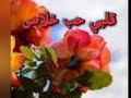 قلبي حب خلاص My Heart Is In Love 