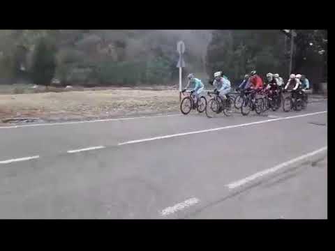 ველორბოლა