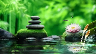 Relaxing Piano Music 🌿 Sound of Flowing Water 🌿 Music for Meditation, Zen Garden #10
